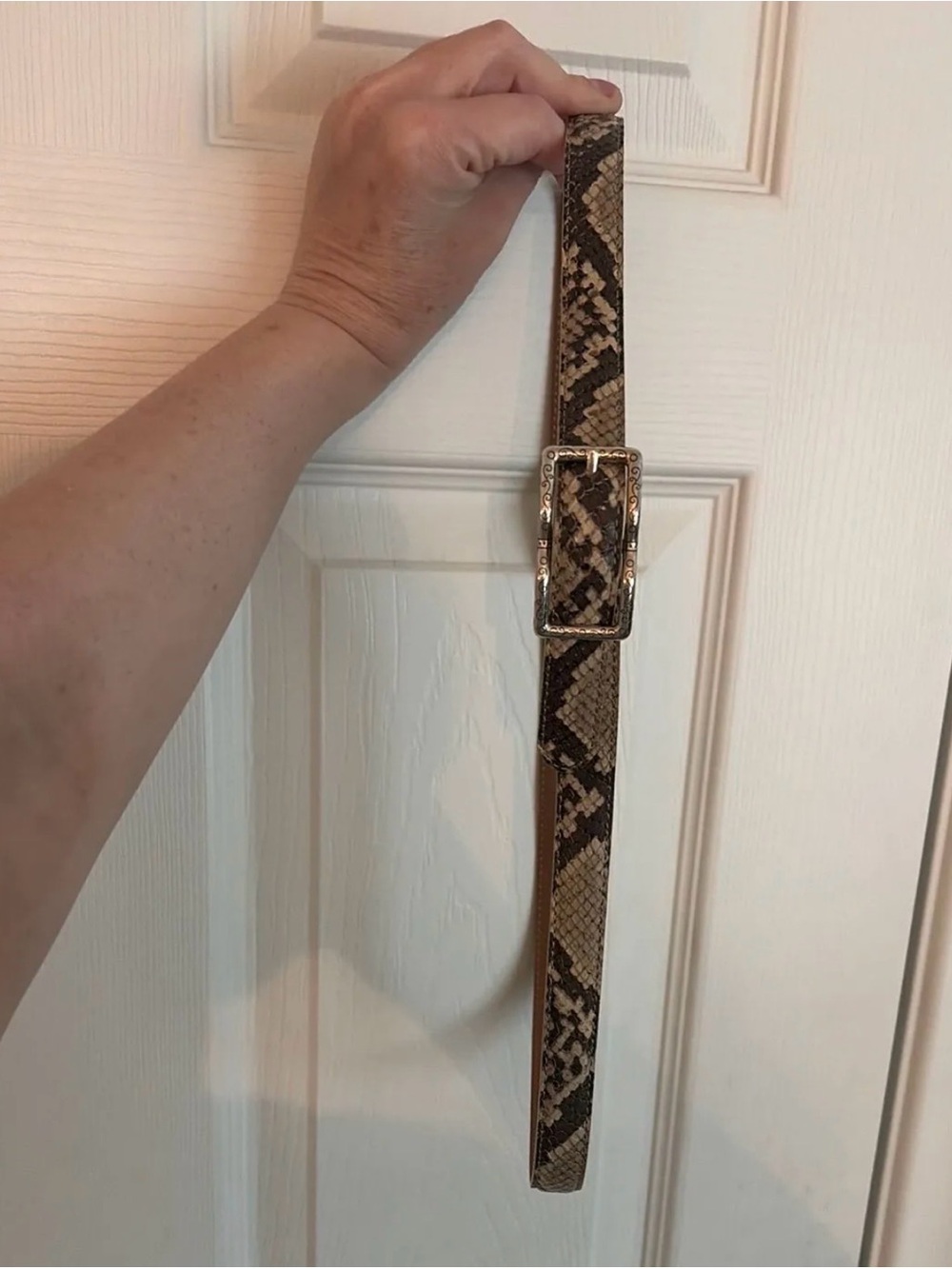 Brighton snake embossed leather belt